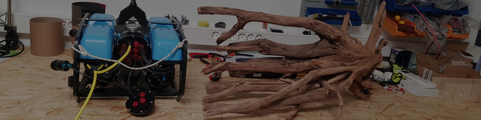 blog banner desktop image