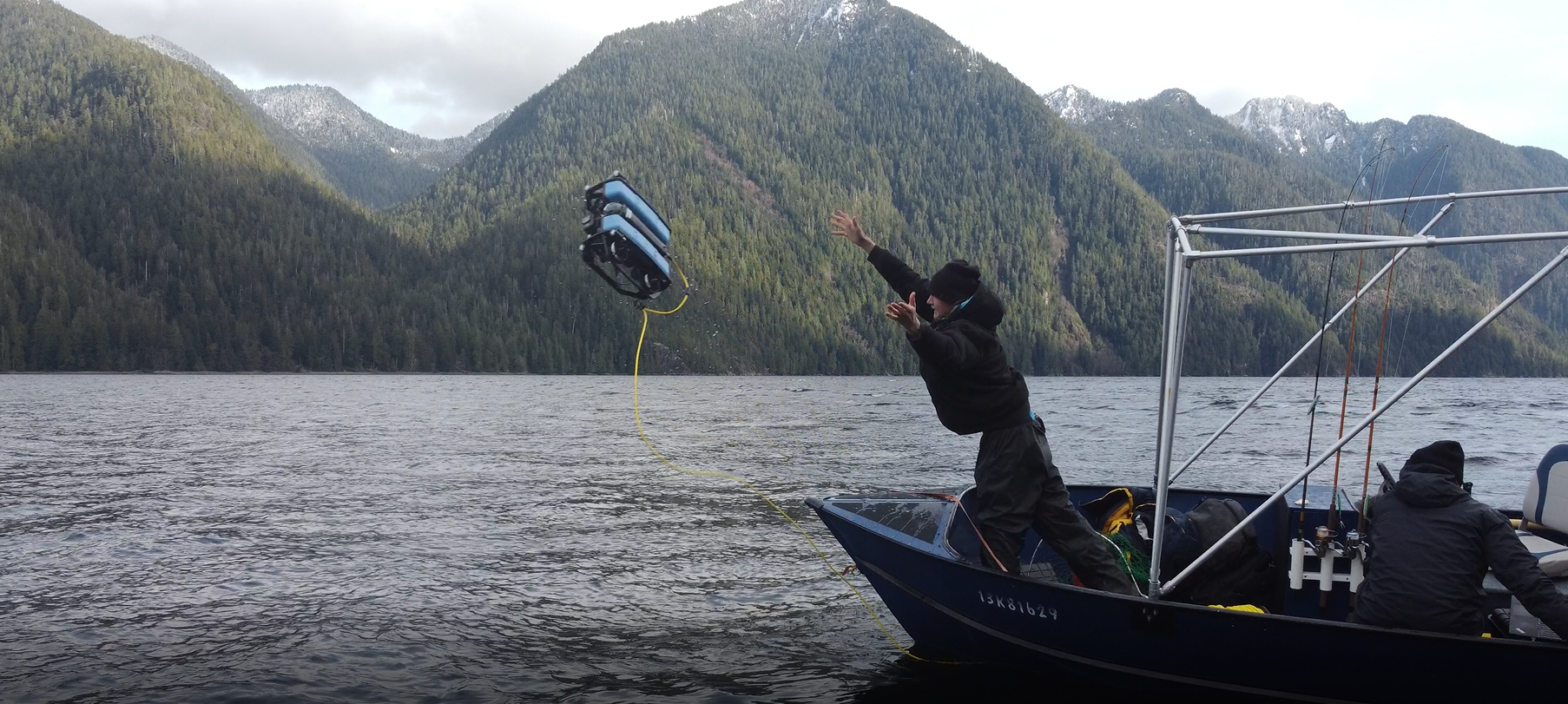 blog banner desktop image