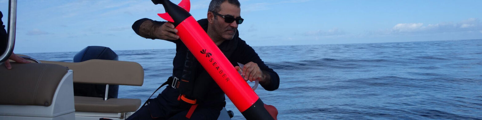 blog banner desktop image