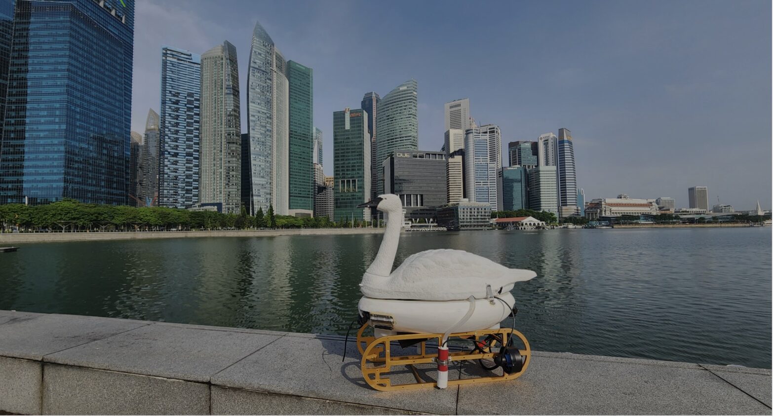 blog banner desktop image