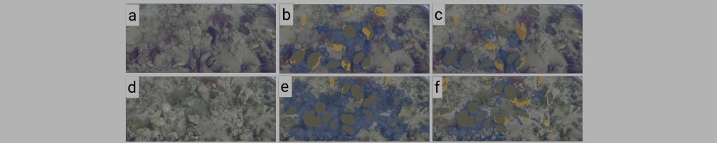 blog banner desktop image