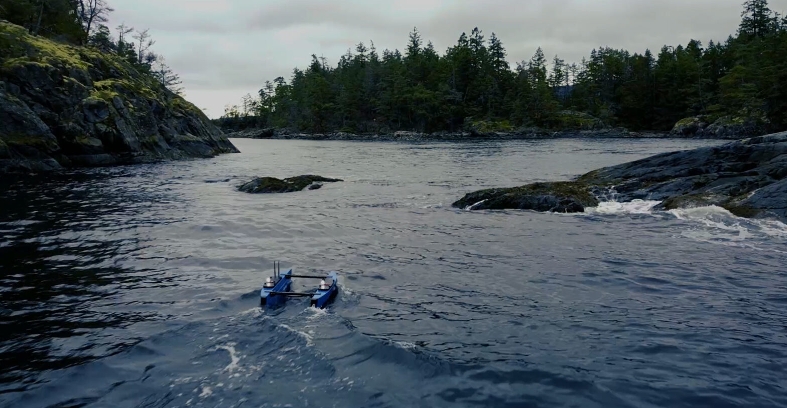 blog banner desktop image