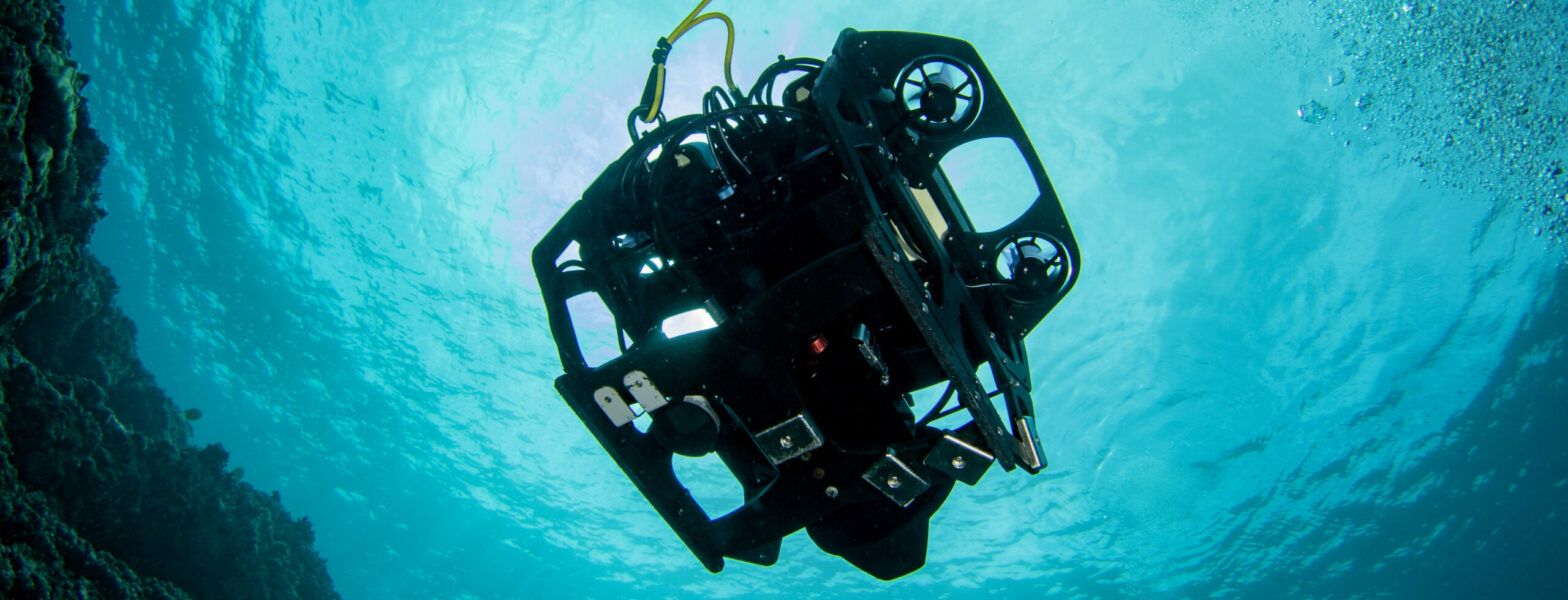 blog banner desktop image