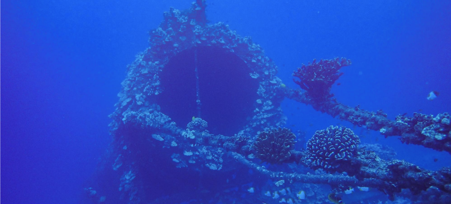 blog banner desktop image